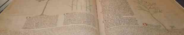 Lunga vita all'Archivio di Stato di Genova